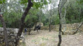 /album/12-avril-st-etienne-descattes/v-512-jpg/